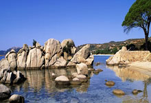 PG电子官网-波兰队逆转瑞典队，马龙状态火热的简单介绍