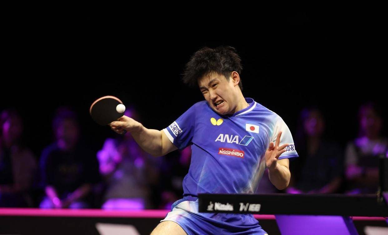 包含法国乒乓球队碾压日本乒乓球队，张本智和完成帽子戏法的词条