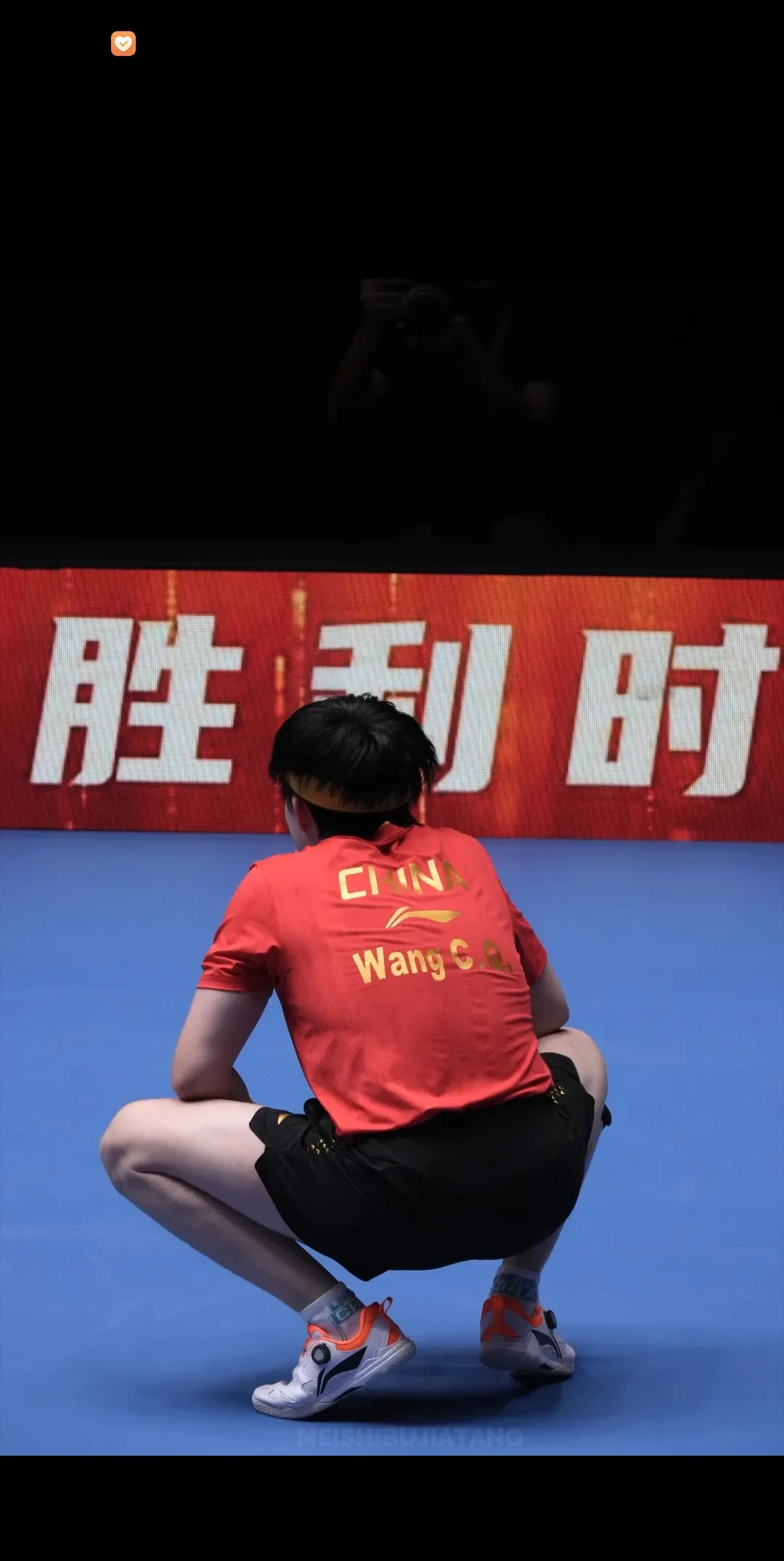 战无不胜！选手奋力拼搏最终登上巅峰的简单介绍