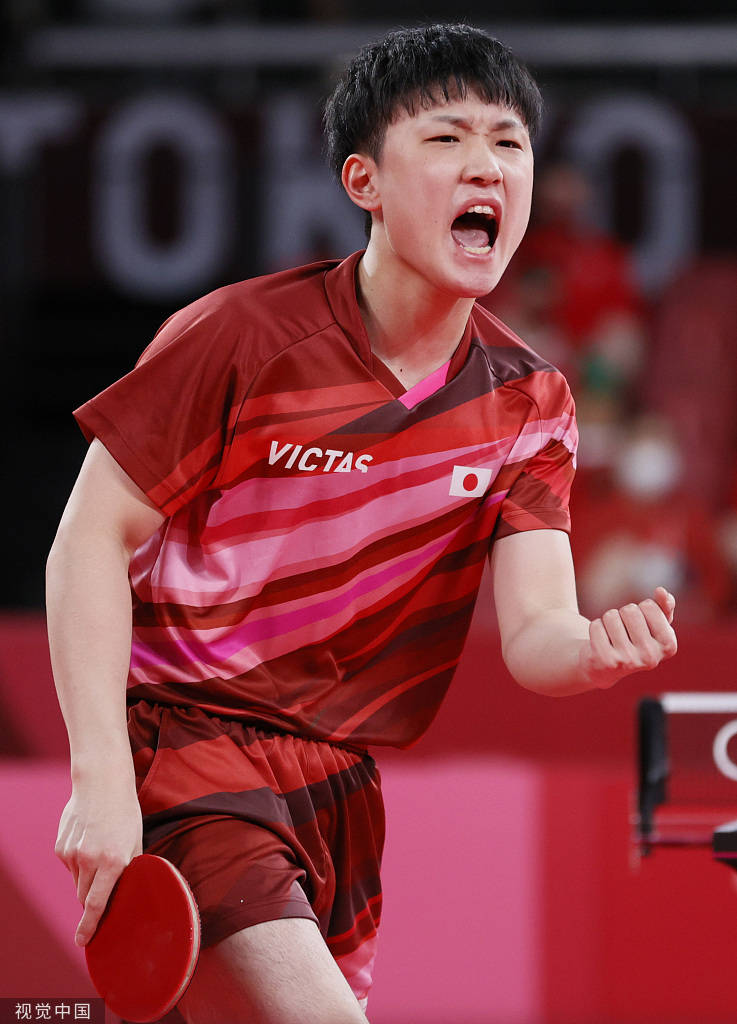 比利时乒乓球队血洗波兰乒乓球队，张本智和爆发神勇的简单介绍