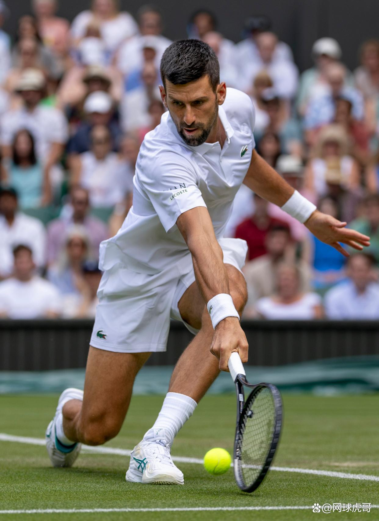 PG电子官方-西班牙网球队轻取日本网球队，德约科维奇绝境逆转的简单介绍