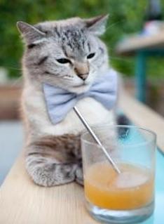 世界排名争夺战之夜,罗德里对手完全无解